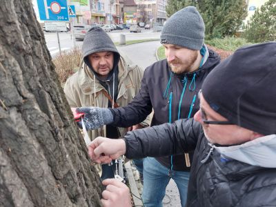Prezydent Konrad Fijołek i pracownicy Miejskiego Zarządu Zieleni testują działanie tomografu, fot. Grzegorz Bukała/Urząd Miasta Rzeszowa