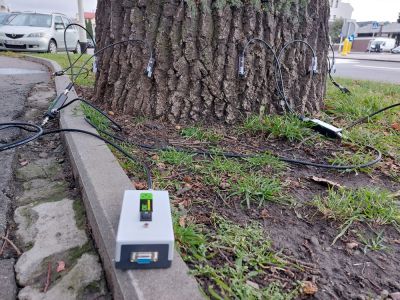 Tomograf służący badaniu drzew, fot. Grzegorz Bukała/Urząd Miasta Rzeszowa