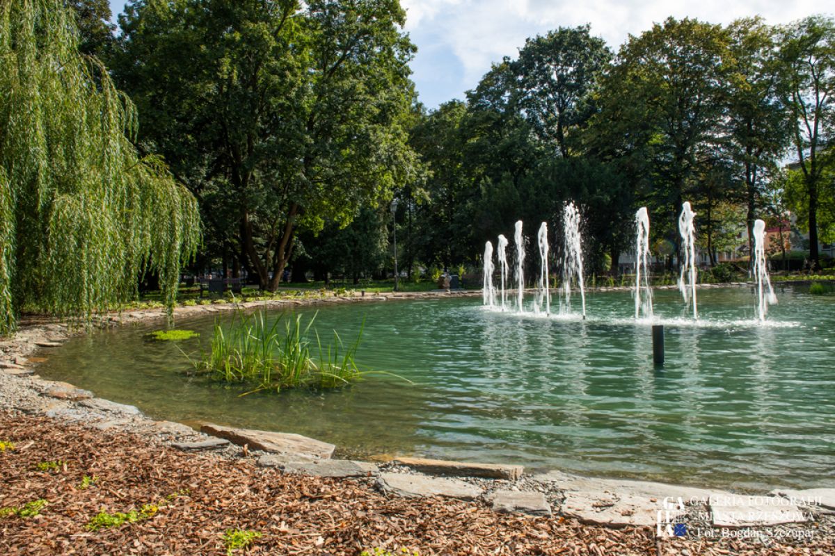 Ogr&oacute;d Miejski im. Solidarności