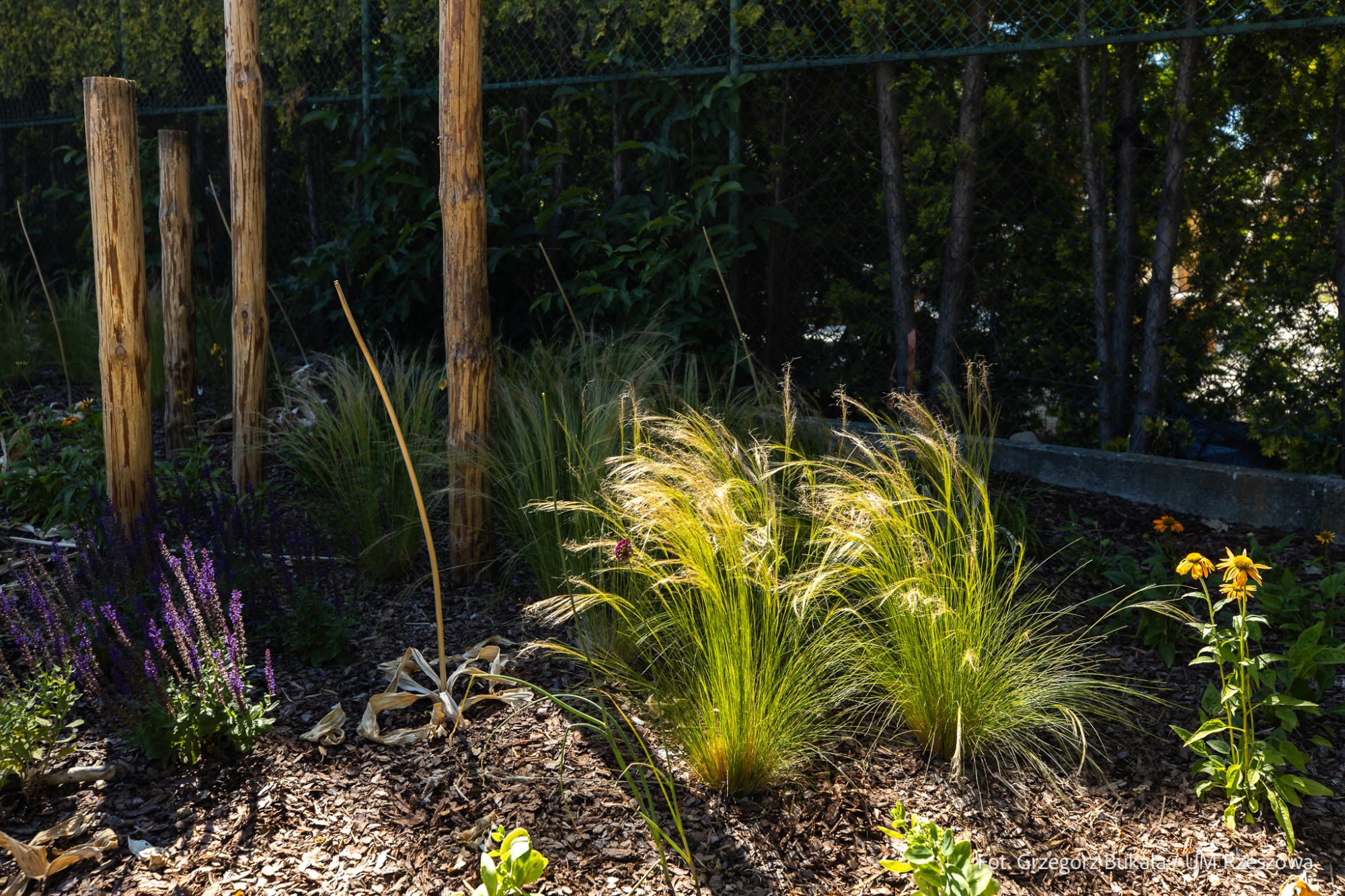 zdjęcie z nowego placu zabaw w rzeszowskim Parku Sybiraków, fot. Grzegorz Bukała, Urząd Miasta Rzeszowa