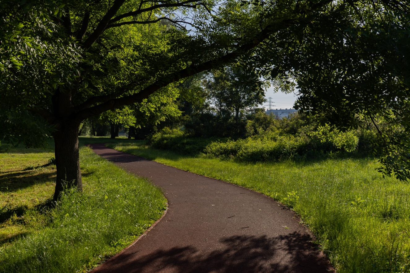 Zdjęcie ścieżki biegowej na Bulwarach w Rzeszowie. Autorem zdjęć jest Grzegorz Bukała/Urząd Miasta Rzeszowa