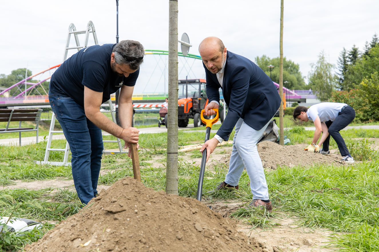 Zdjęcie ilustrujące opisaną sytuację | fot. Grzegorz Bukała, Urząd Miasta Rzeszowa