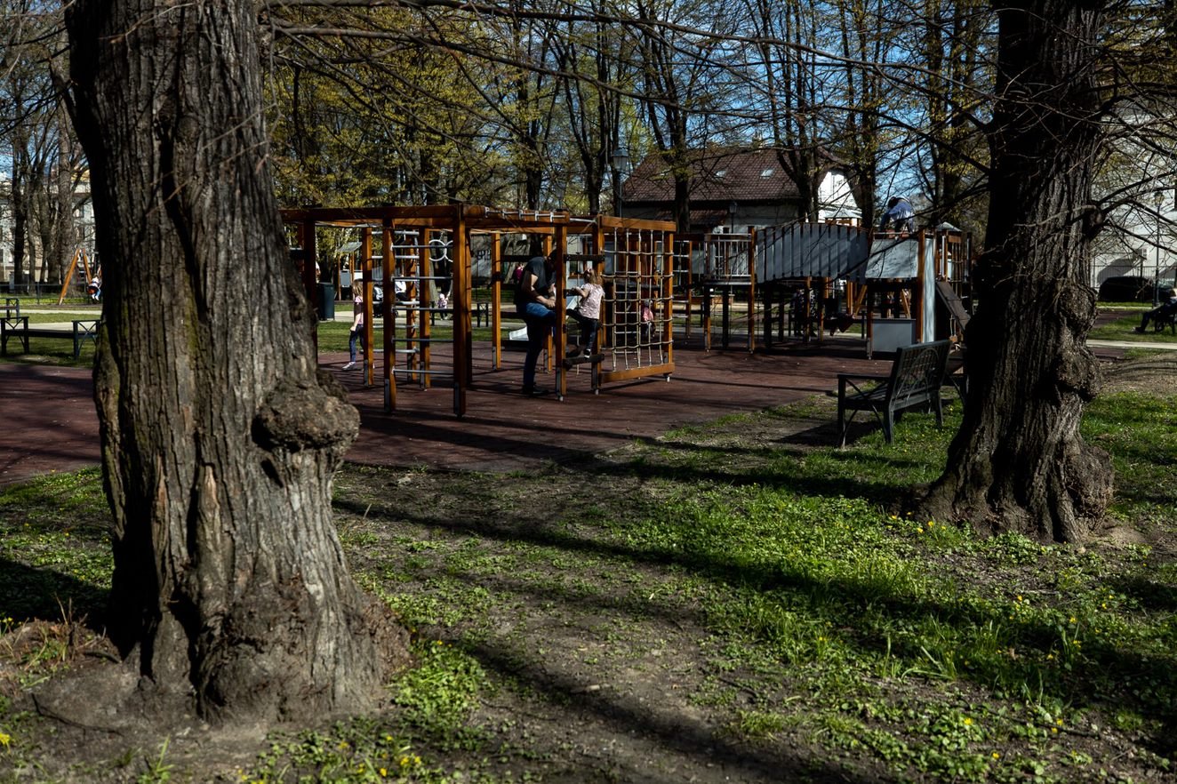 Zdjęcie ilustrujące opisaną sytuację | fot. Grzegorz Bukała, Urząd Miasta Rzeszowa