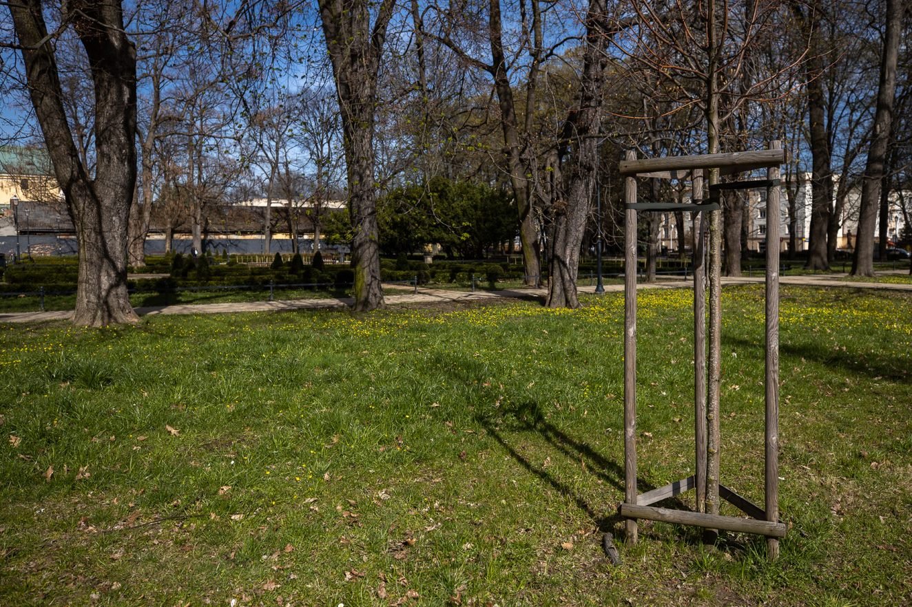 Zdjęcie ilustrujące opisaną sytuację | fot. Grzegorz Bukała, Urząd Miasta Rzeszowa