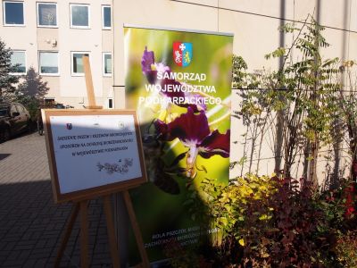 W 2022 roku Samorząd Województwa Podkarpackiego, po raz ósmy realizuje działania w ramach Kampanii informacyjno - edukacyjnej pn.: Rola pszczół miodnych w zachowaniu bioróżnorodności w rolnictwie