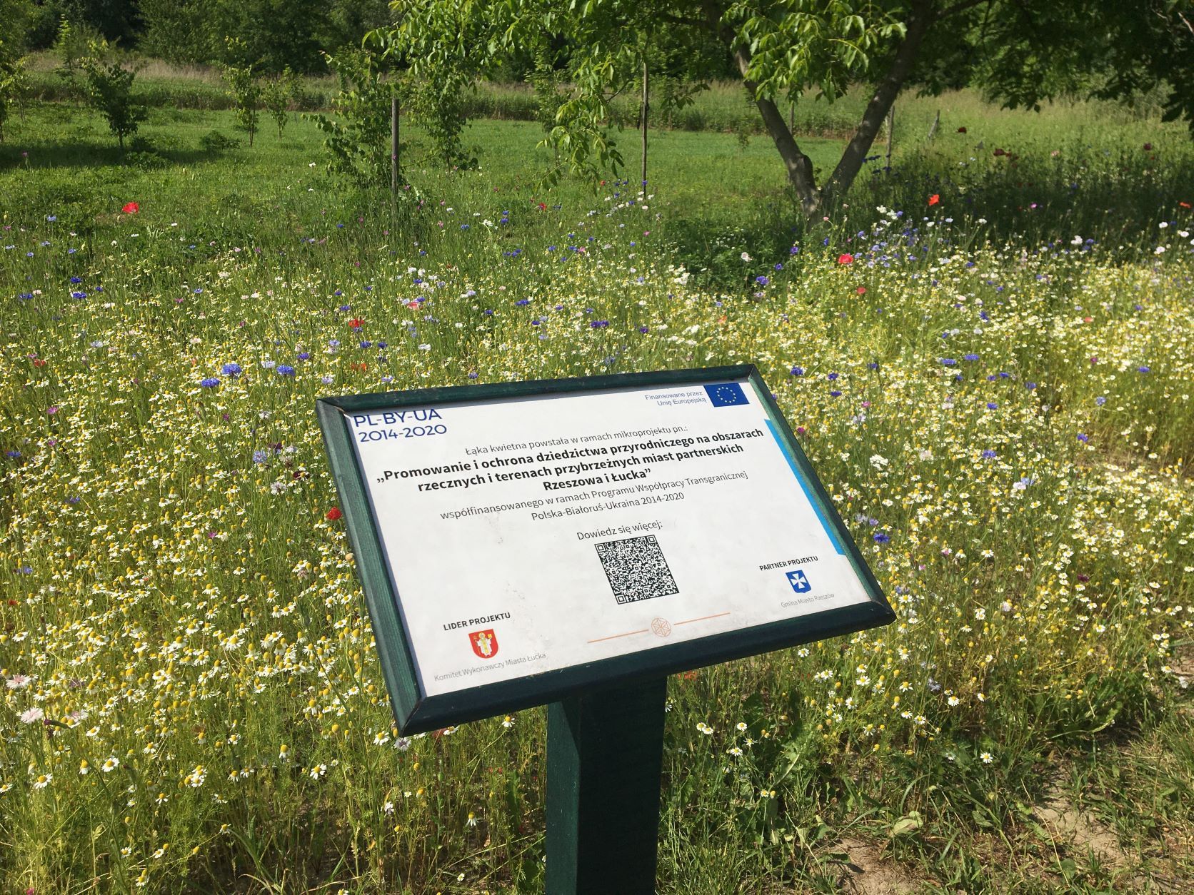 Łuck i Rzesz&oacute;w realizują wsp&oacute;lnie projekt ekologiczny pn. Promowanie i ochrona dziedzictwa przyrodniczego na obszarach rzecznych i terenach przybrzeżnych miast partnerskich Rzeszowa i Łucka  | fot. Augustyn-foto team