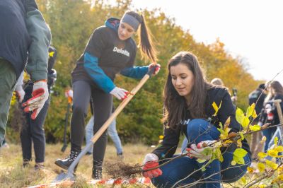 1000 drzew zostało nasadzonych przy ul. Krogulskiego w Rzeszowie | fot. Adam Lampart/UM Rzesz&oacute;w
