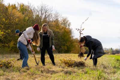 1000 drzew zostało nasadzonych przy ul. Krogulskiego w Rzeszowie | fot. Adam Lampart/UM Rzesz&oacute;w