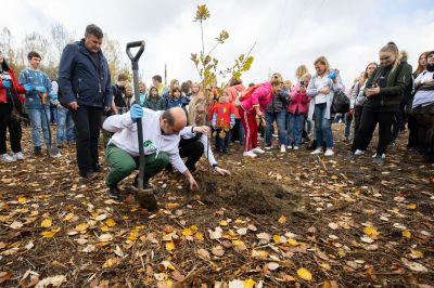 Przy ul. Jarowej posadzonych zostało 200 drzew  | fot. Grzegorz Bukała/Urząd Miasta Rzeszowa