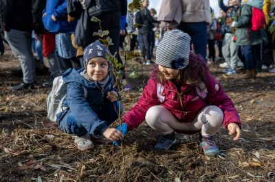 Przy ul. Jarowej posadzonych zostało 200 drzew  | fot. Grzegorz Bukała/Urząd Miasta Rzeszowa