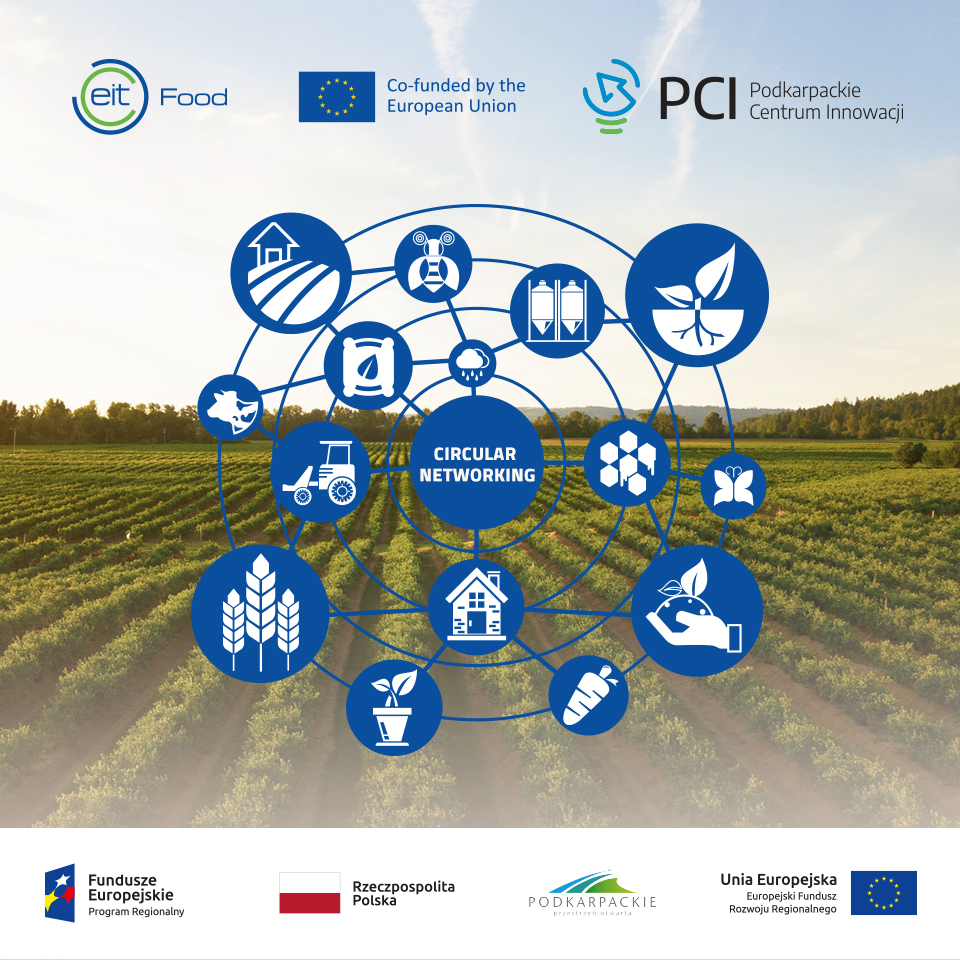 Grafika promująca wydarzenie pn. CIRCULAR NETWORKING EVENT