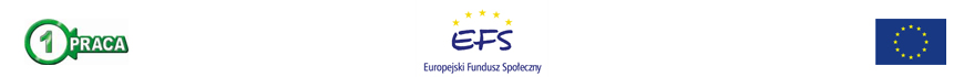 Znak programu Aktywizacji Zawodowej Absolwent&oacute;w - Pierwsza Praca Ministerstwa Gospodarki i Pracy, Znak Europejski Fundusz Społeczny, Flaga Unia Europejska