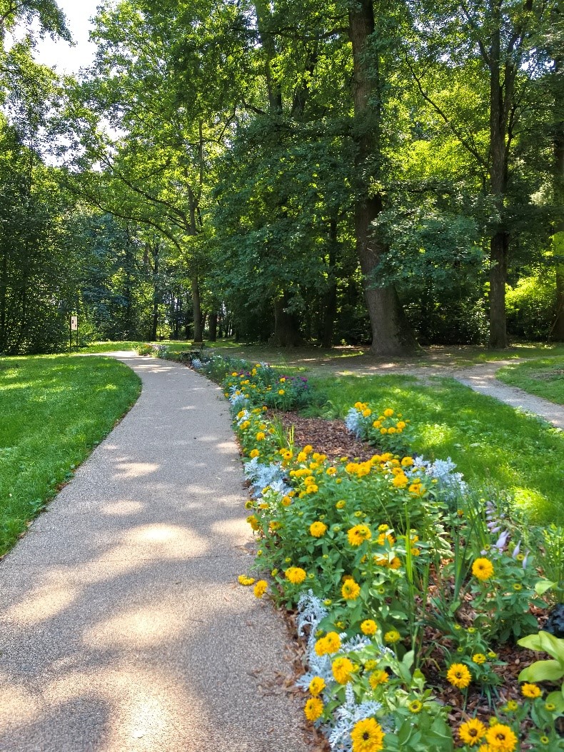 Park Szafera na osiedlu Słocina
