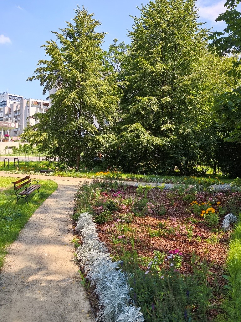 Park Szafera na osiedlu Słocina