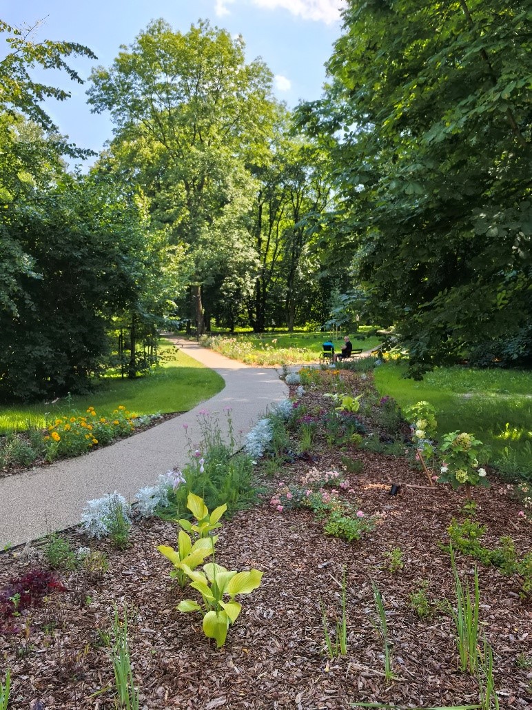 Park Szafera na osiedlu Słocina