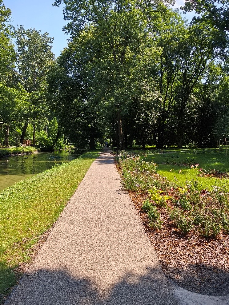 Park Szafera na osiedlu Słocina