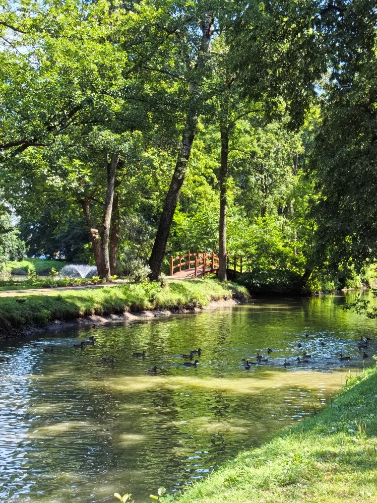 Park Szafera na osiedlu Słocina