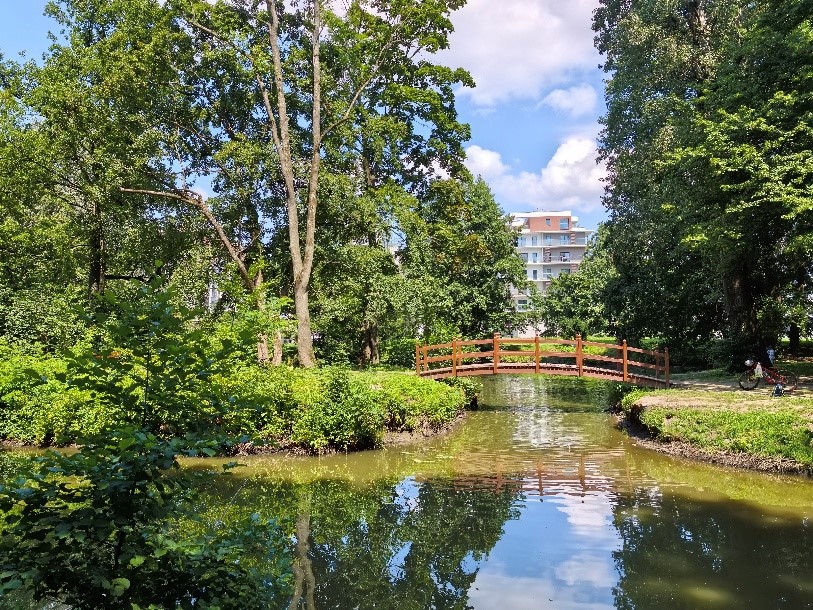 Park Szafera na osiedlu Słocina