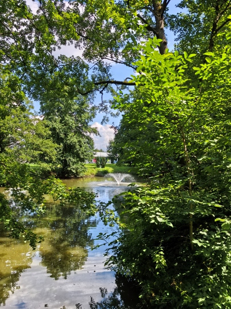 Park Szafera na osiedlu Słocina