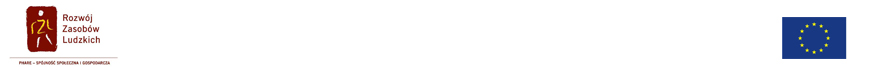 Znak Rozw&oacute;j Zasaob&oacute;w Ludzkich - PHARE - Sp&oacute;jność Społeczna i Gospodarcza, Flaga Unia Europejska